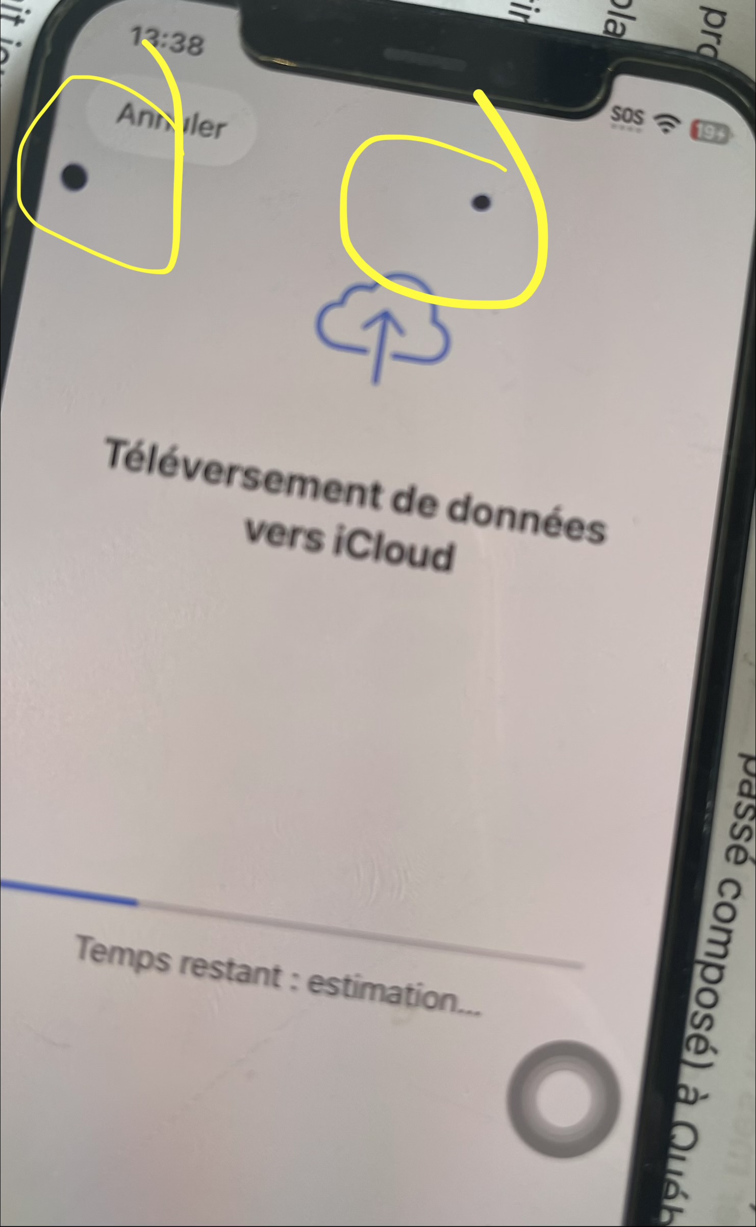 Écran avec pixels défectueux avant réparation